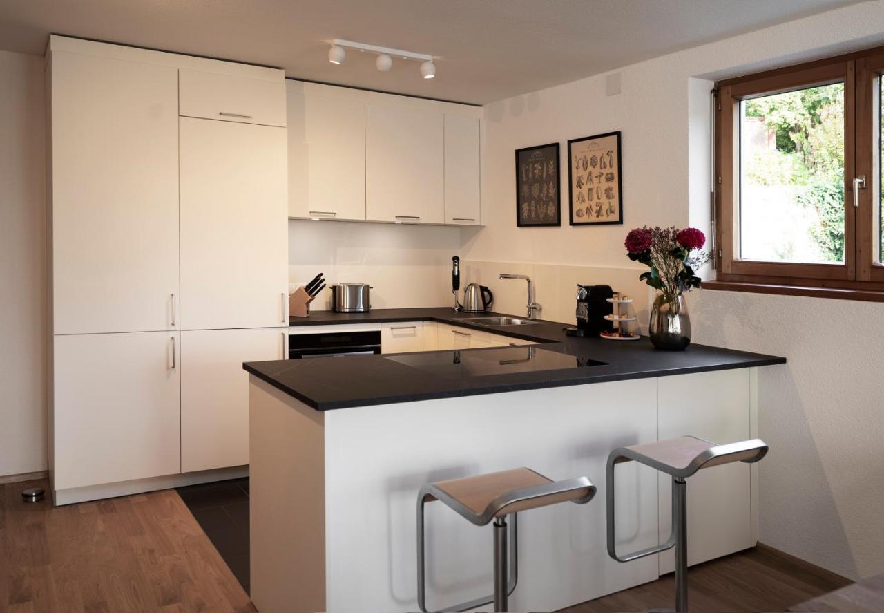Haus4Zimmer - Luxus Mit Blick Ueber Den Bodensee - Mit Garage 布雷根茨 外观 照片